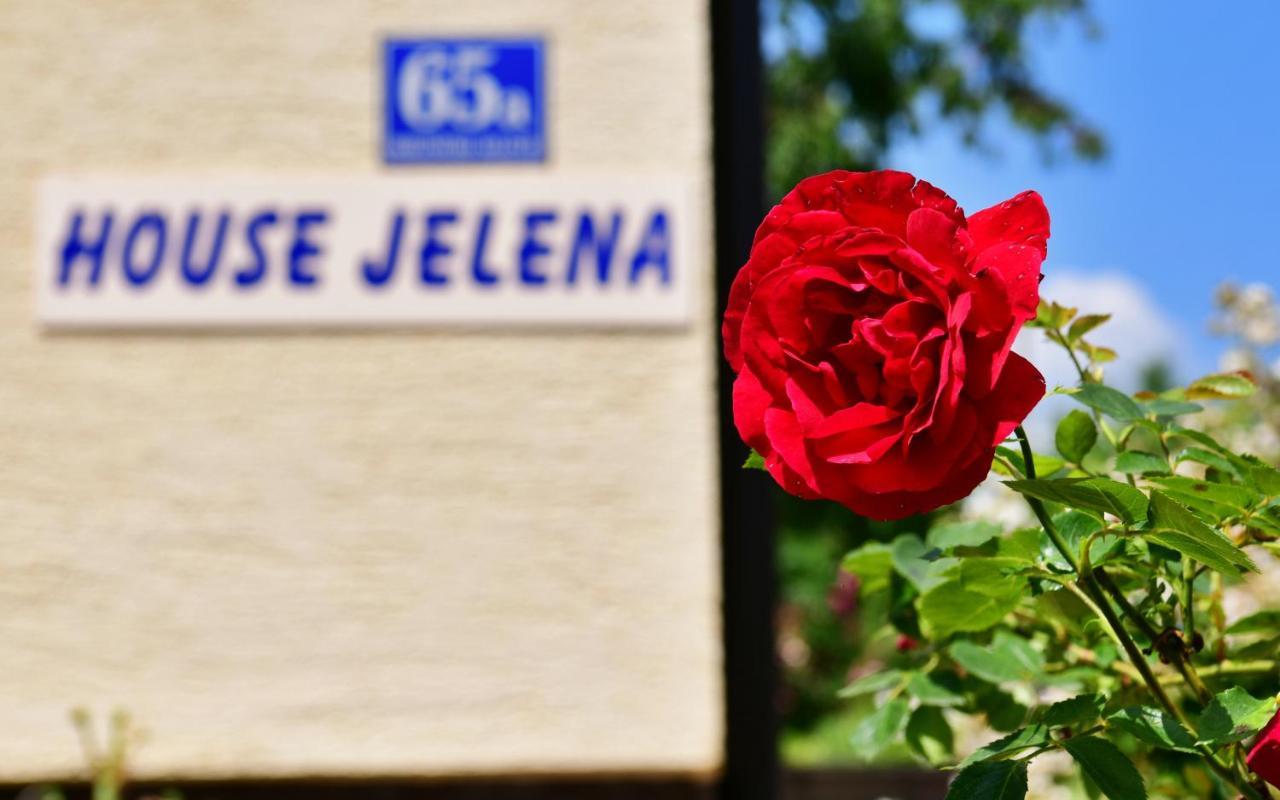 Appartement House Jelena à Selište Drežničko Extérieur photo