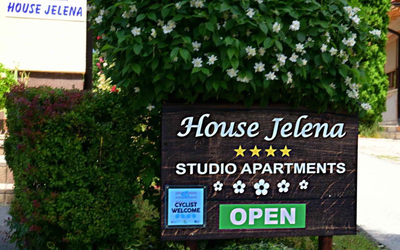 Appartement House Jelena à Selište Drežničko Extérieur photo