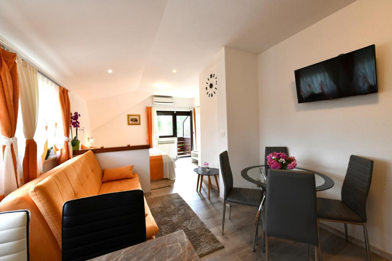 Appartement House Jelena à Selište Drežničko Extérieur photo